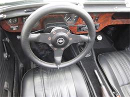 1979 Panther Lima (CC-1165366) for sale in Delray Beach, Florida