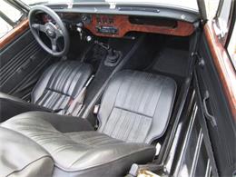 1979 Panther Lima (CC-1165366) for sale in Delray Beach, Florida