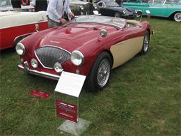 1956 Austin-Healey 100M (CC-1165536) for sale in Stratford, Connecticut