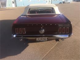 1969 Ford Mustang GT (CC-1165614) for sale in Annandale, Minnesota