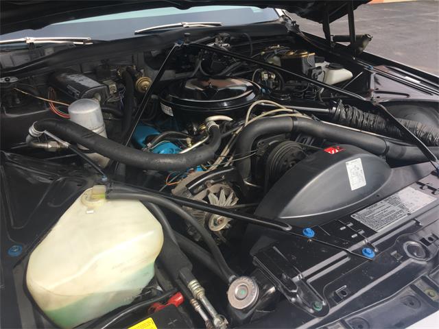 1979 Cadillac Coupe DeVille (CC-1166674) for sale in Waterloo, Ontario