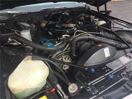 1979 Cadillac Coupe DeVille (CC-1166674) for sale in Waterloo, Ontario