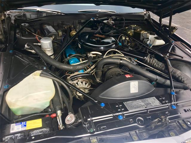 1979 Cadillac Coupe DeVille (CC-1166674) for sale in Waterloo, Ontario