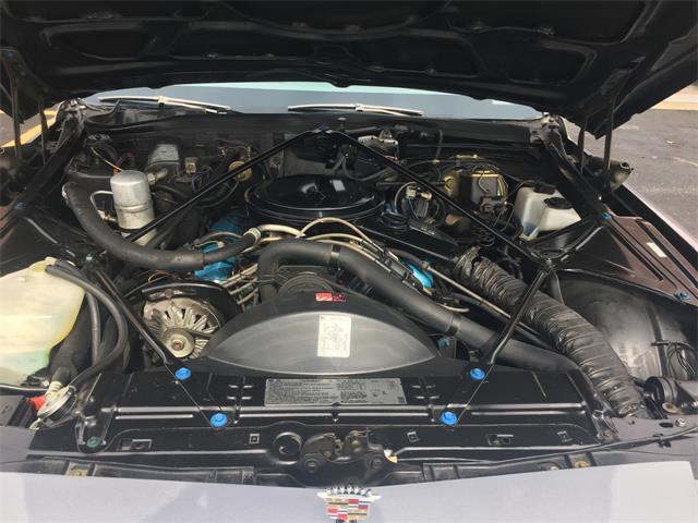 1979 Cadillac Coupe DeVille (CC-1166674) for sale in Waterloo, Ontario