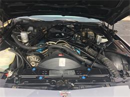 1979 Cadillac Coupe DeVille (CC-1166674) for sale in Waterloo, Ontario