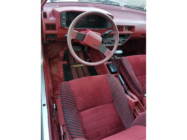 1983 Datsun Pulsar (CC-1167048) for sale in Washington, District Of Columbia