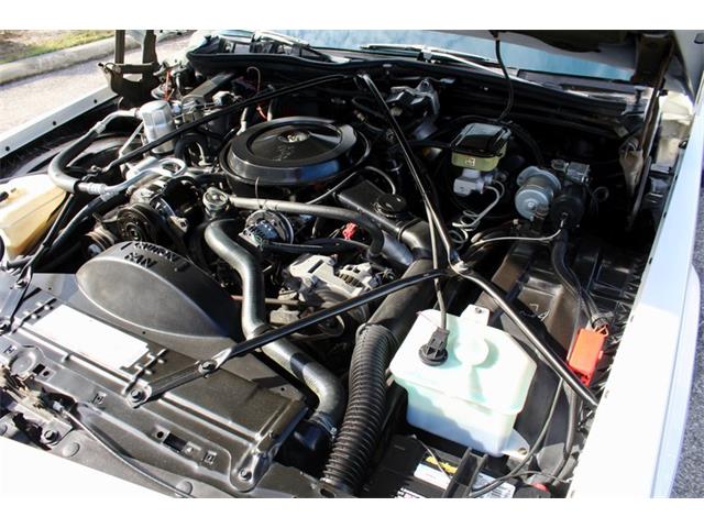 1989 Cadillac Brougham (CC-1167561) for sale in Sarasota, Florida