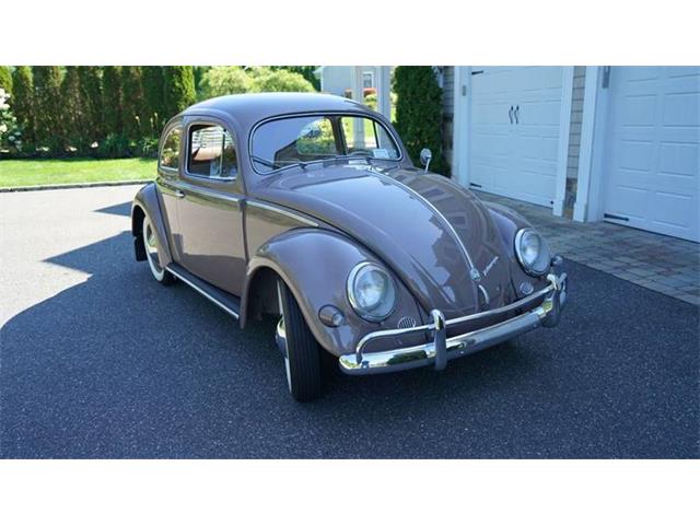 1955 Volkswagen Beetle (CC-1160798) for sale in Old Bethpage , New York
