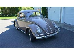 1955 Volkswagen Beetle (CC-1160798) for sale in Old Bethpage , New York