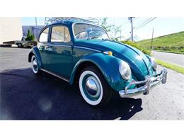 1965 Volkswagen Beetle (CC-1160800) for sale in Old Bethpage , New York