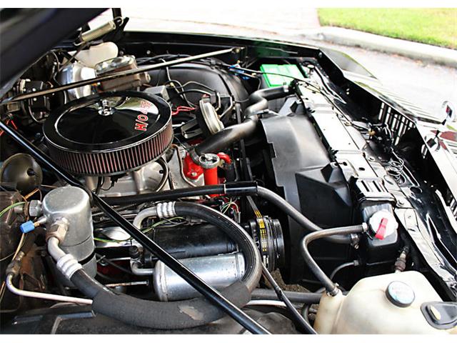 1977 Oldsmobile Cutlass (CC-1168347) for sale in Lakeland, Florida