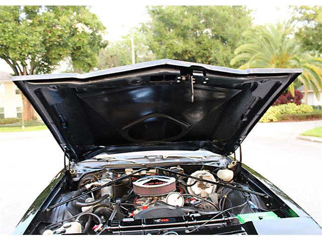 1977 Oldsmobile Cutlass (CC-1168347) for sale in Lakeland, Florida