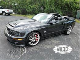 2008 Shelby GT500 (CC-1168405) for sale in Park Hills, Missouri