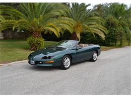 1995 Chevrolet Camaro (CC-1169102) for sale in Clearwater, Florida