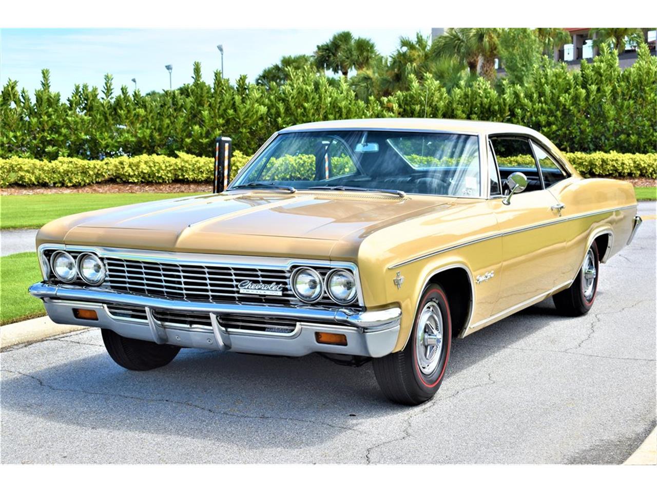 1966 Chevrolet Impala SS for Sale | ClassicCars.com | CC-1169174