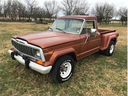 1982 Jeep Pickup (CC-1169779) for sale in Fredericksburg, Texas