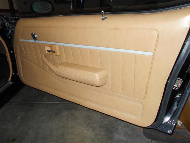 1981 Chevrolet Camaro Z28 (CC-1169846) for sale in Apopka, Florida