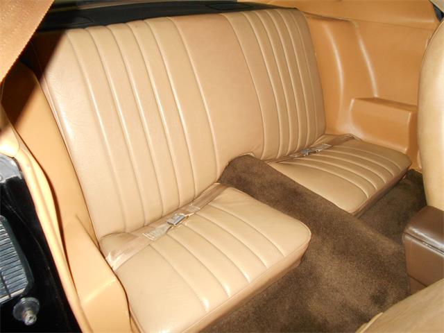 1981 Chevrolet Camaro Z28 (CC-1169846) for sale in Apopka, Florida