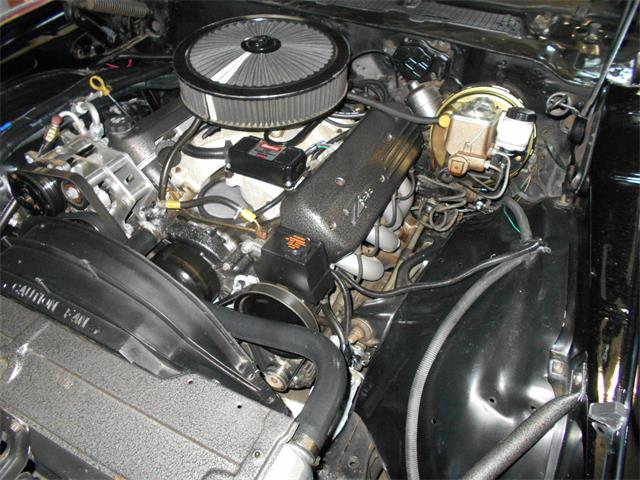 1981 Chevrolet Camaro Z28 (CC-1169846) for sale in Apopka, Florida
