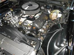 1981 Chevrolet Camaro Z28 (CC-1169846) for sale in Apopka, Florida