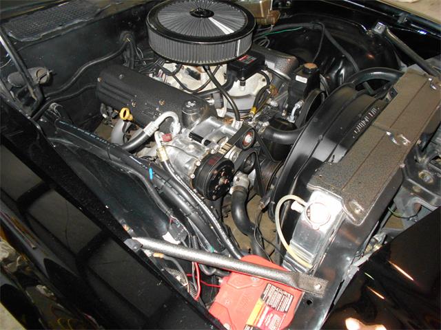 1981 Chevrolet Camaro Z28 (CC-1169846) for sale in Apopka, Florida