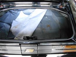 1981 Chevrolet Camaro Z28 (CC-1169846) for sale in Apopka, Florida