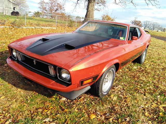 1973 Ford Mustang (CC-1171284) for sale in Lynch Station, Virginia