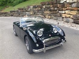 1959 Austin-Healey Sprite (CC-1171584) for sale in Trussville, Alabama