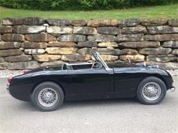 1959 Austin-Healey Sprite (CC-1171584) for sale in Trussville, Alabama