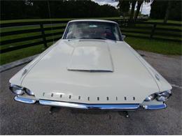 1964 Ford Thunderbird (CC-1172025) for sale in Cadillac, Michigan