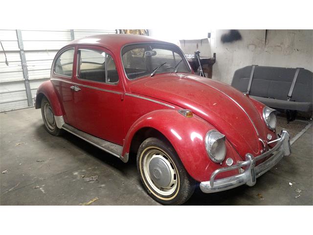 1966 Volkswagen Beetle (CC-1172566) for sale in Muncie, Indiana