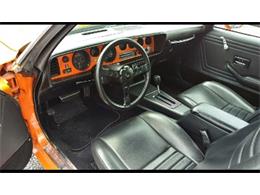 1979 Pontiac Firebird Trans Am (CC-1172654) for sale in Miami, Florida