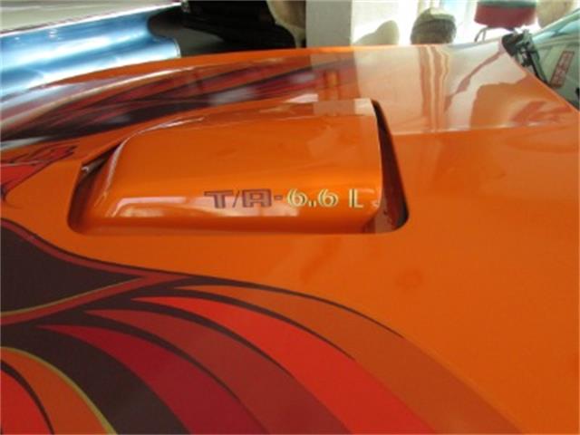 1979 Pontiac Firebird Trans Am (CC-1172654) for sale in Miami, Florida
