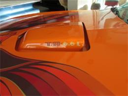 1979 Pontiac Firebird Trans Am (CC-1172654) for sale in Miami, Florida