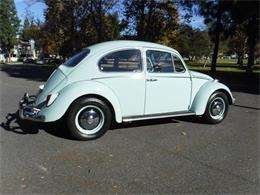 1966 Volkswagen Beetle (CC-1172773) for sale in Thousand Oaks, California