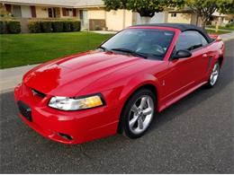 1999 Ford Mustang Cobra (CC-1173025) for sale in Peoria, Arizona