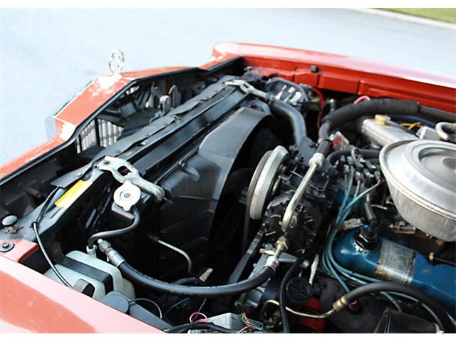 1979 Mercury Cougar (CC-1173146) for sale in Lakeland, Florida