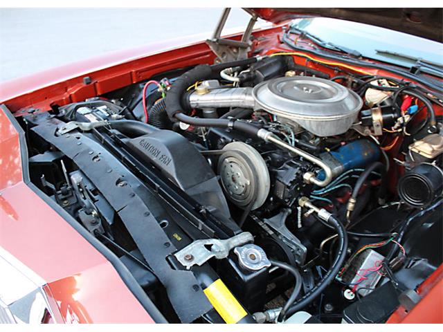 1979 Mercury Cougar (CC-1173146) for sale in Lakeland, Florida