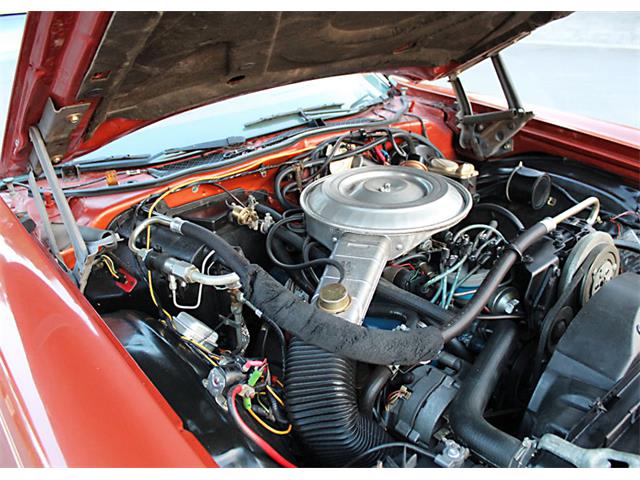 1979 Mercury Cougar (CC-1173146) for sale in Lakeland, Florida