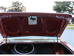 1979 Mercury Cougar (CC-1173146) for sale in Lakeland, Florida