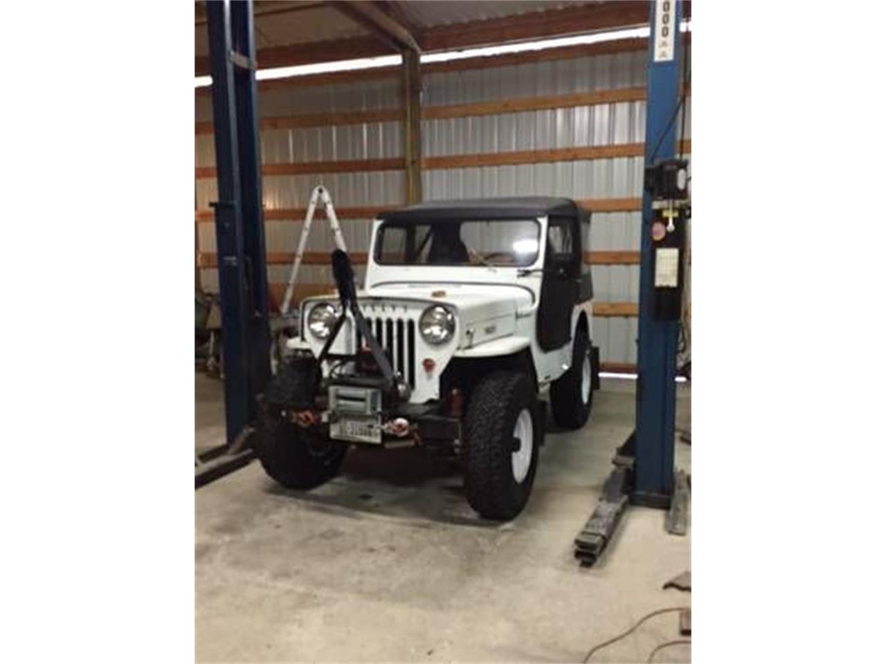 willys jeep cj3b for sale