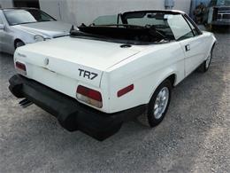 1979 Triumph TR7 (CC-1173565) for sale in Pahrump, Nevada