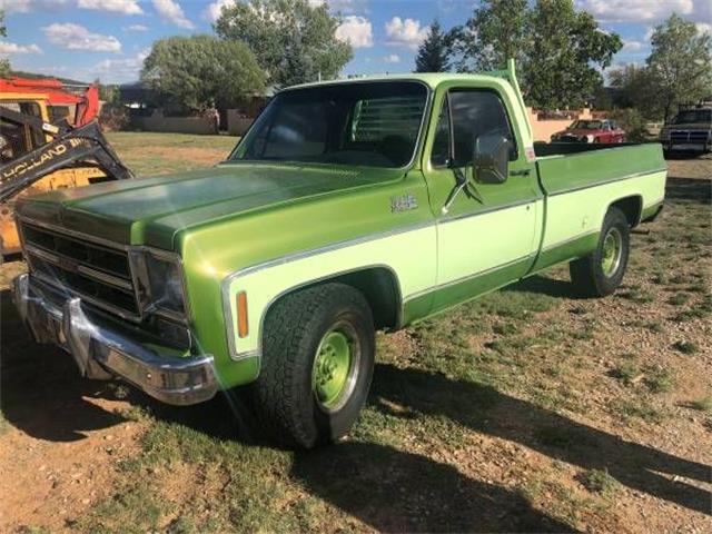 1976 GMC 1500 (CC-1174566) for sale in Cadillac, Michigan