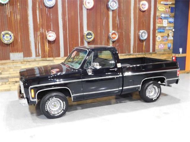 1979 Chevrolet Cheyenne (CC-1174568) for sale in Cadillac, Michigan