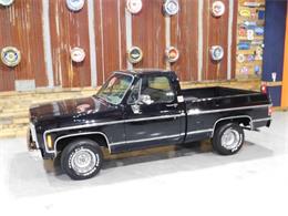 1979 Chevrolet Cheyenne (CC-1174568) for sale in Cadillac, Michigan