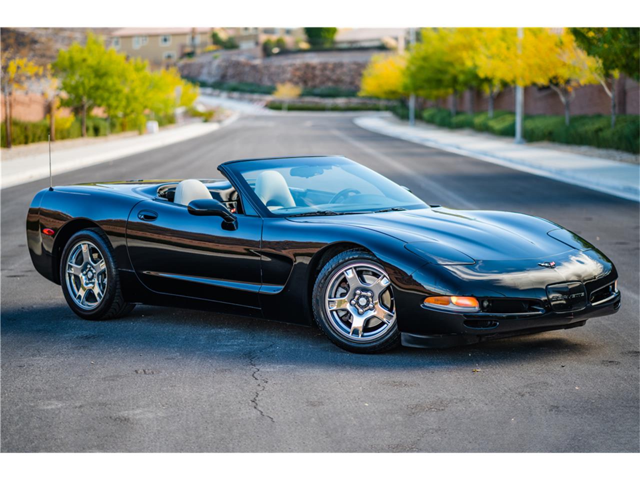 1998 Chevrolet Corvette for Sale | ClassicCars.com | CC-1175998