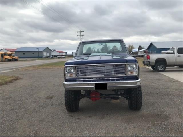 1980 Chevrolet K-20 (CC-1176415) for sale in Cadillac, Michigan