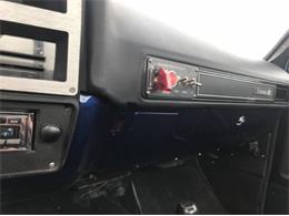 1980 Chevrolet K-20 (CC-1176415) for sale in Cadillac, Michigan
