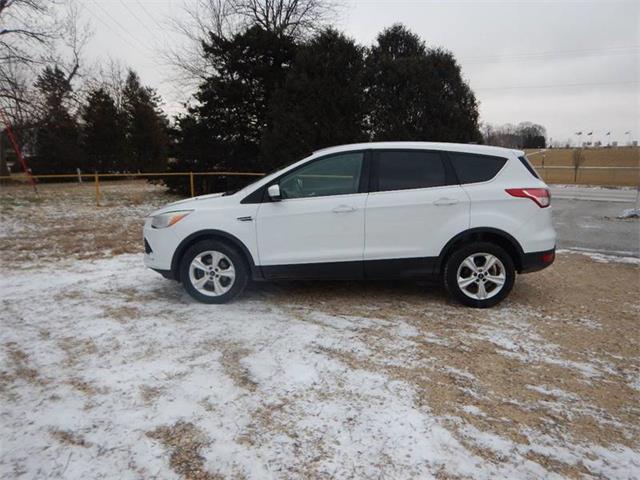 2013 Ford Escape (CC-1176542) for sale in Clarence, Iowa