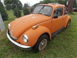 1972 Volkswagen Super Beetle (CC-1176704) for sale in Cadillac, Michigan